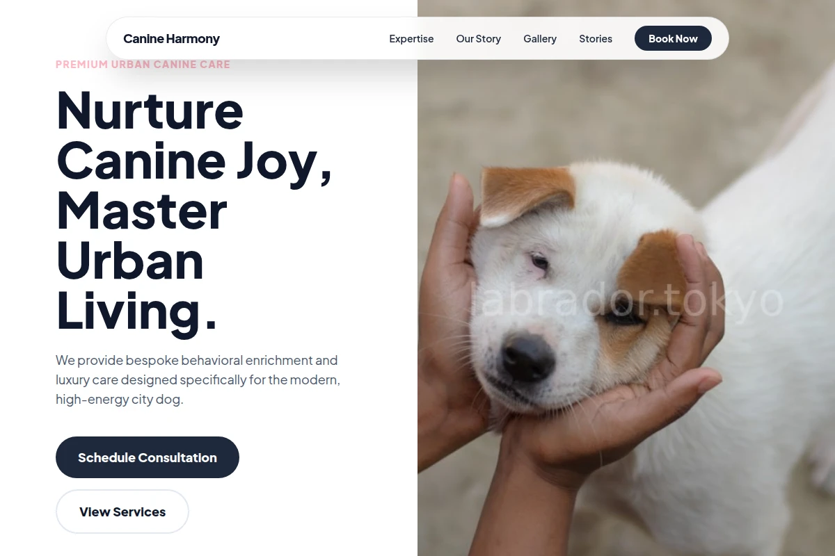 Paws Animal Care