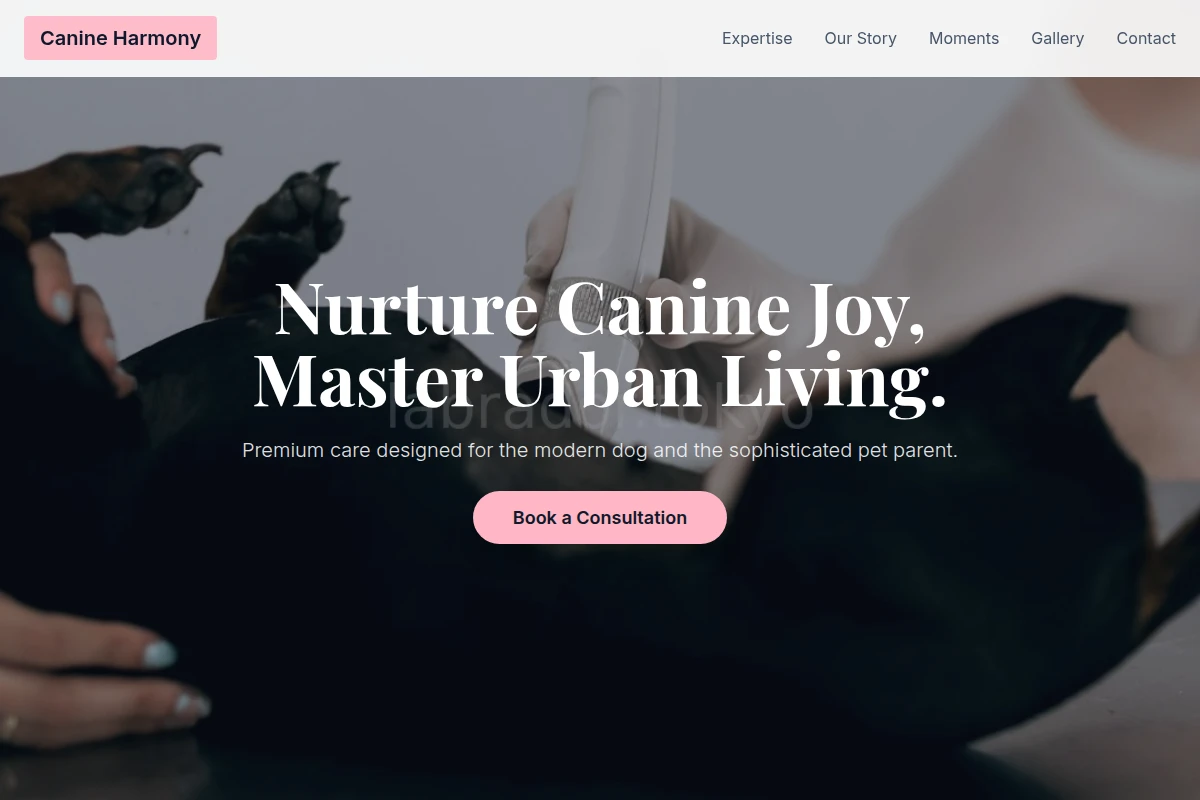 Paw Animal Care