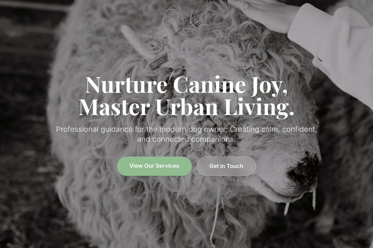 Collar Animal Care