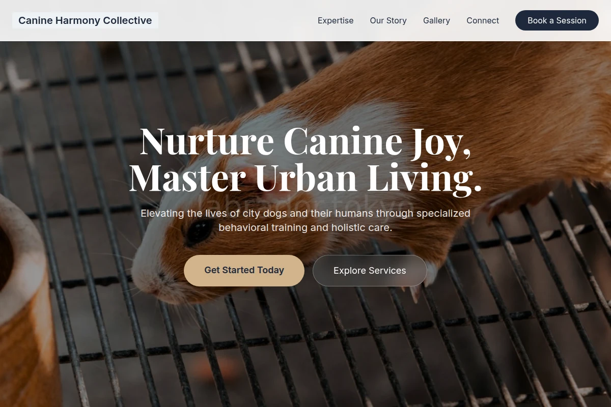 Sit Animal Care