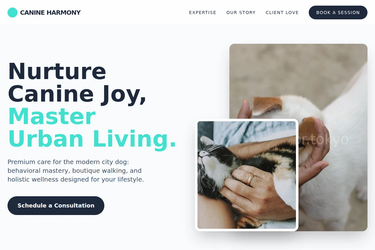 Play Animal Care