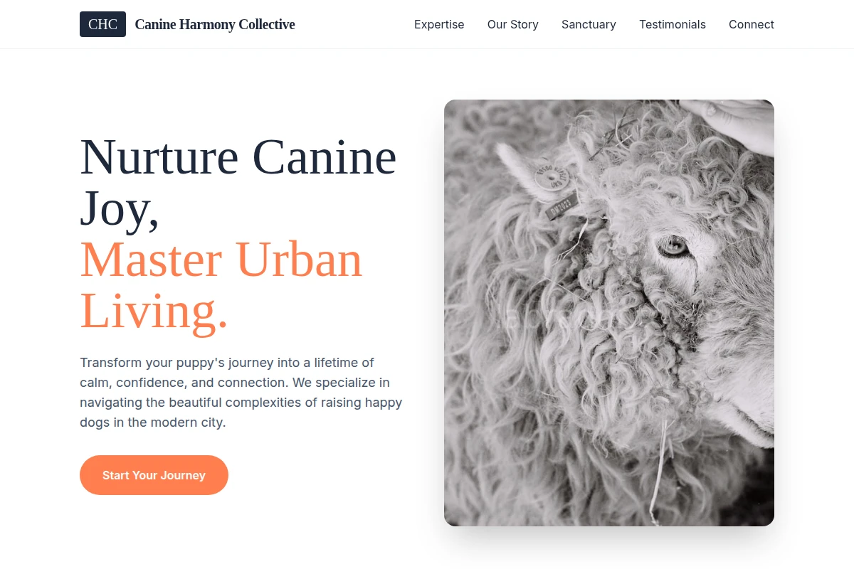 Puppy Animal Care