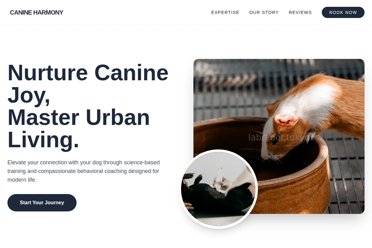 Pal Animal Care