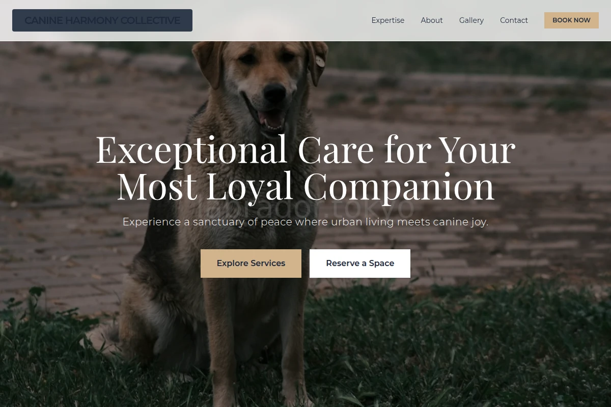 Kennel Animal Care