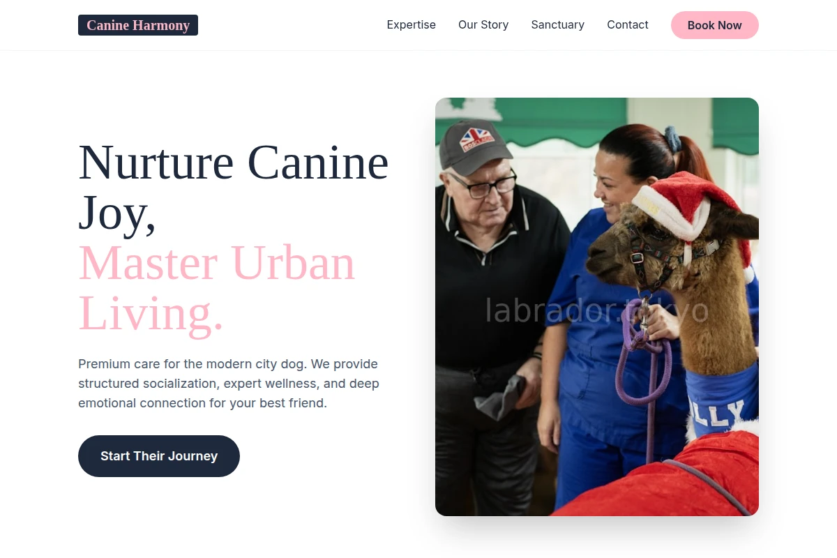 Friend Animal Care