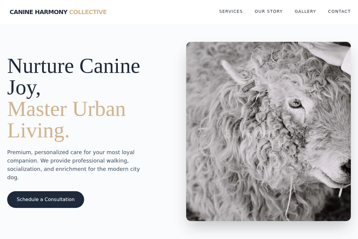 Walk Animal Care