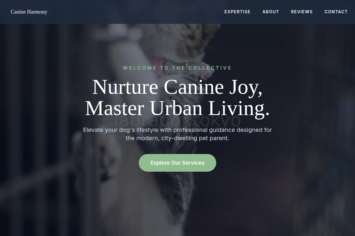 Stay Animal Care
