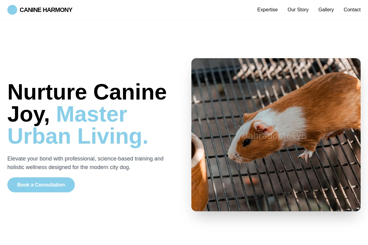 Treat Animal Care