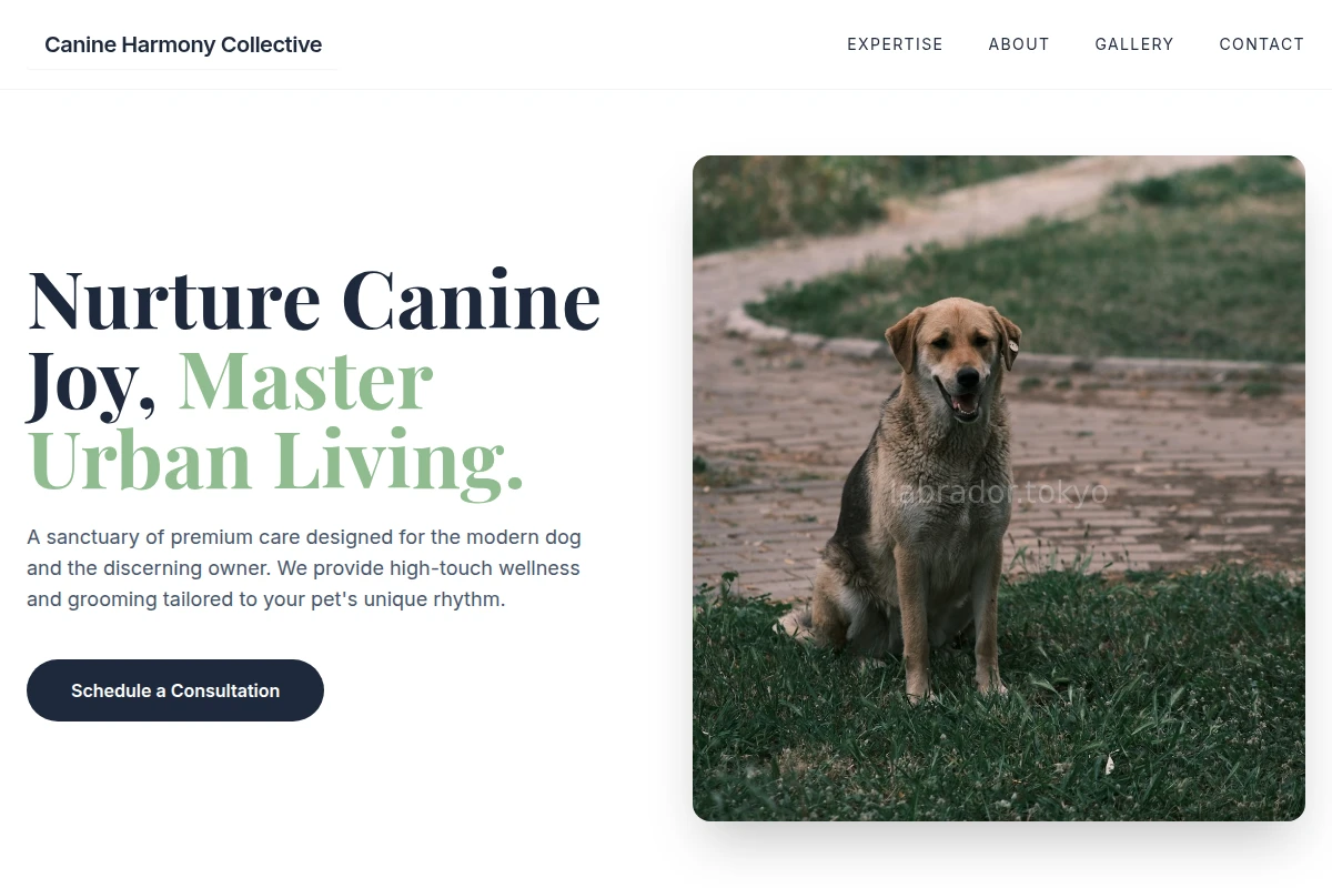 animal-care