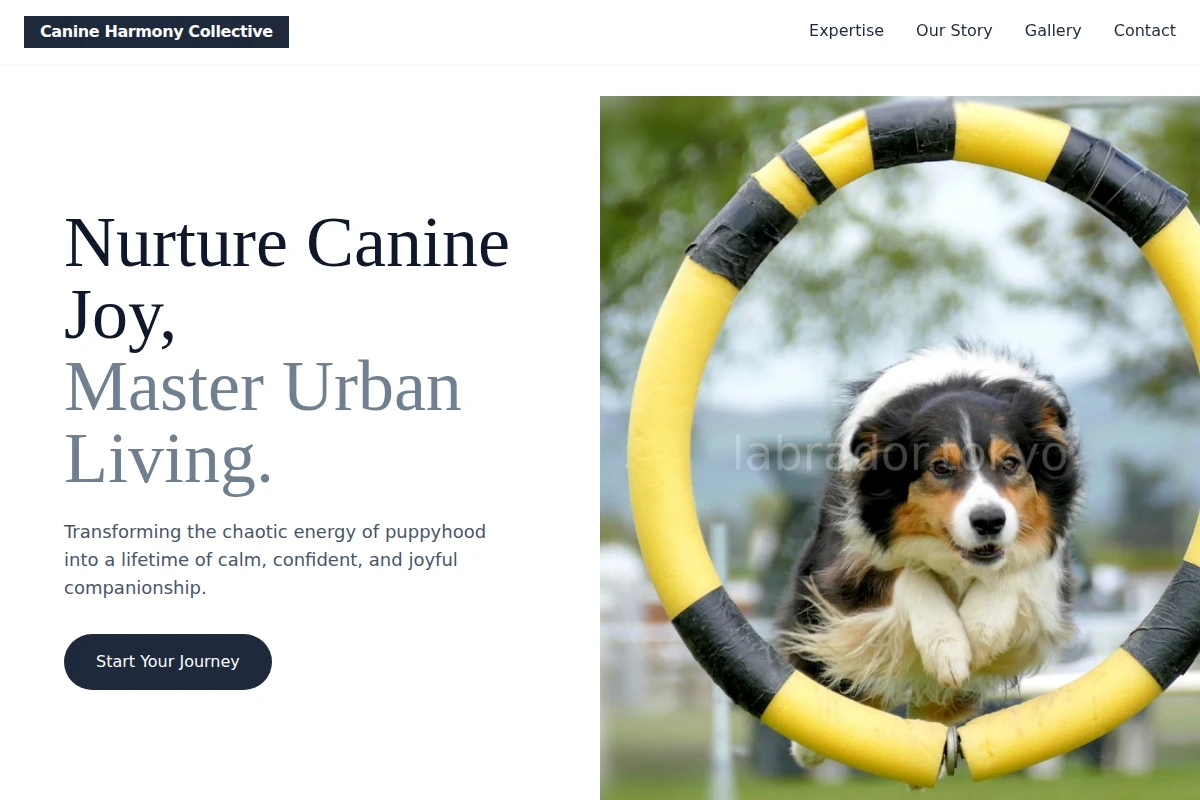 Puppy Dog Training