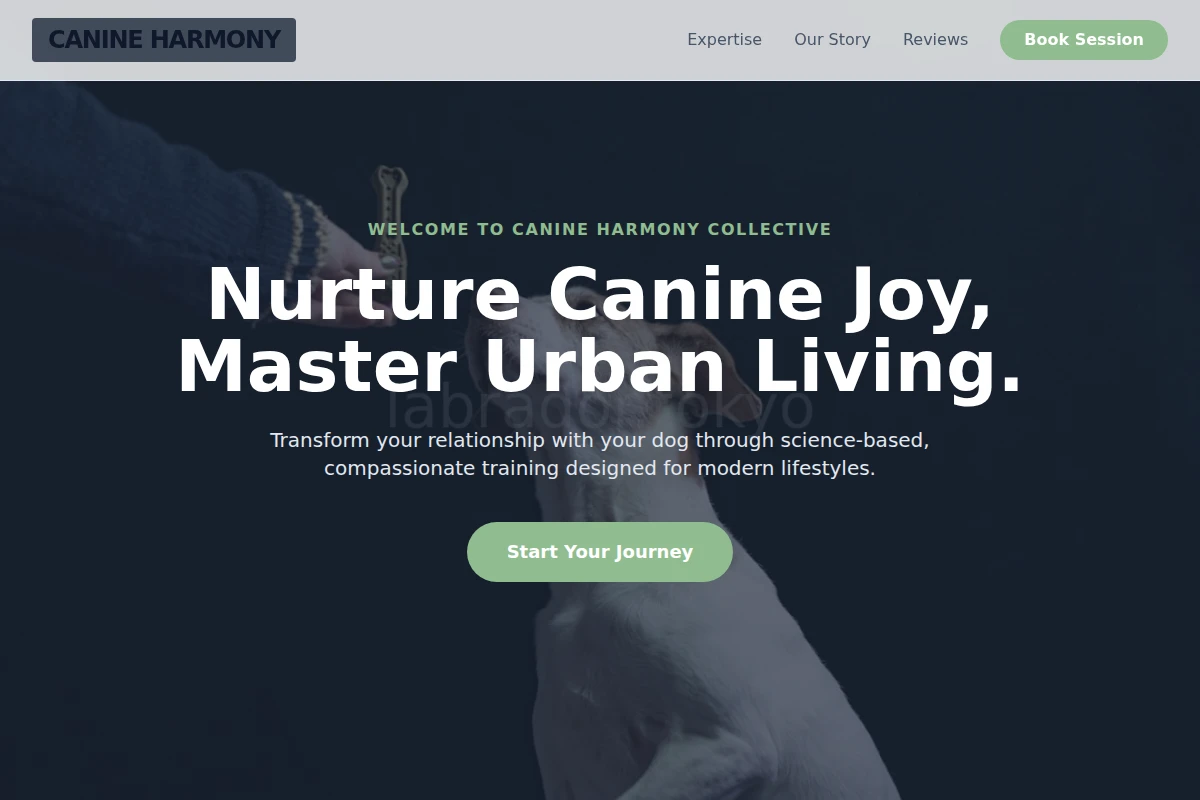 Sit Dog Training