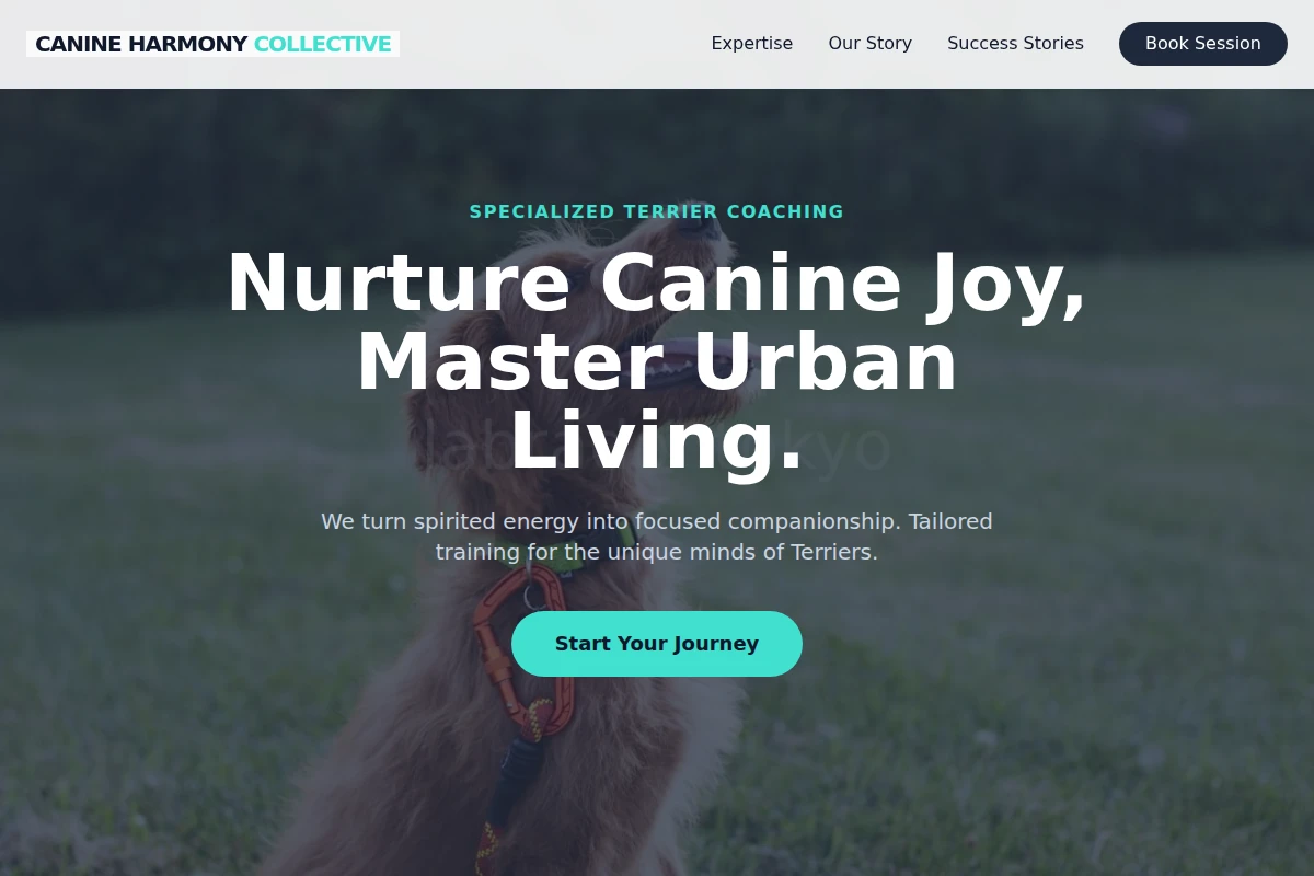 Terrier Dog Training