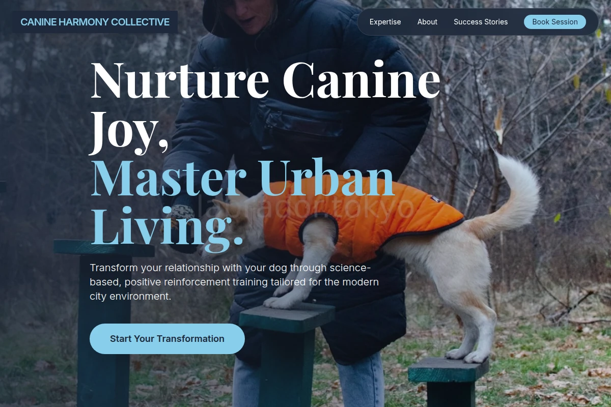 Coat Dog Training
