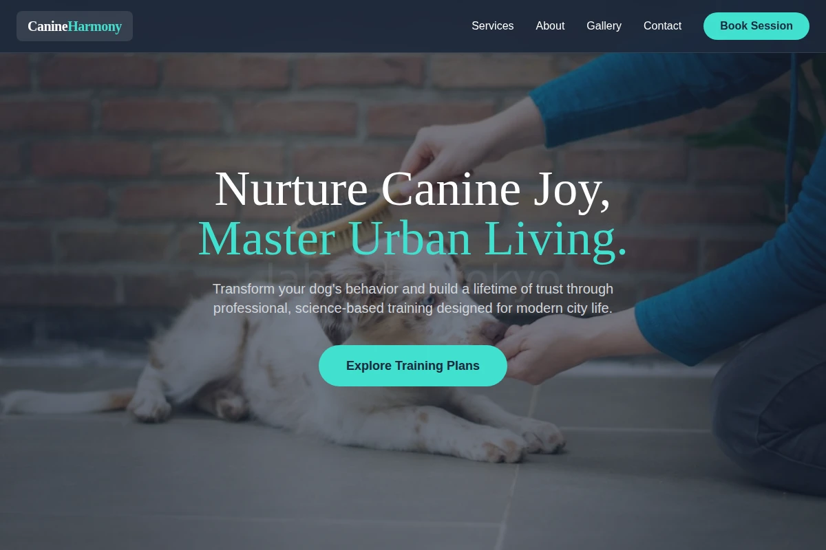 Stay Dog Training