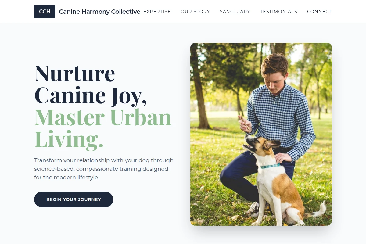 Groom Dog Training