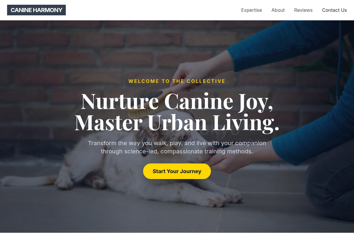 Coat Dog Training