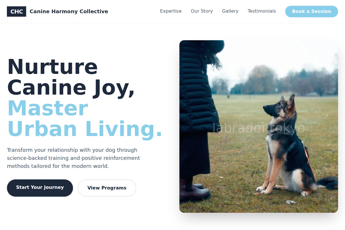 Mane Dog Training