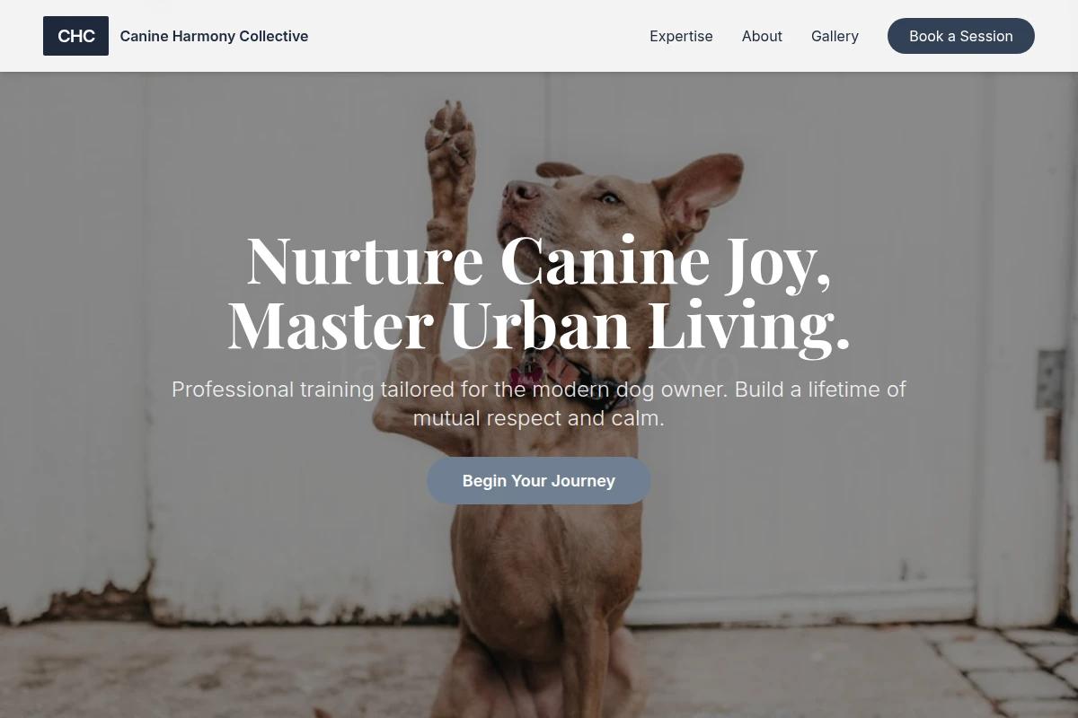 Play Dog Training
