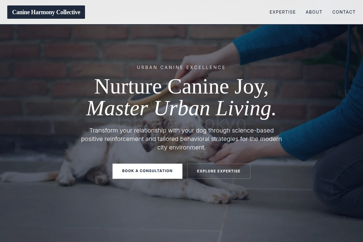 Fetch Dog Training