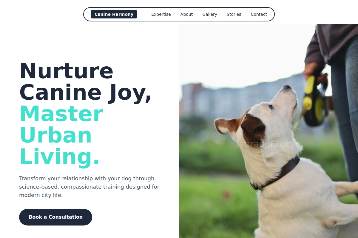 Pack Dog Training