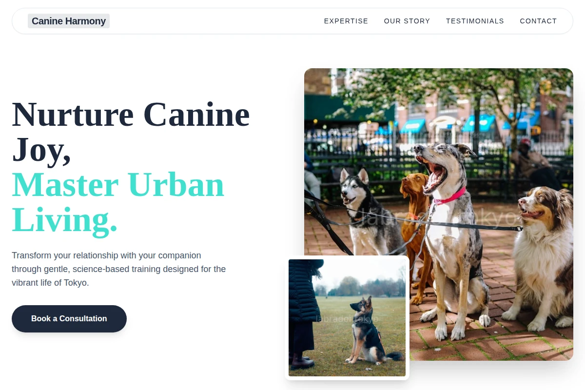 Tokyo Dog Training