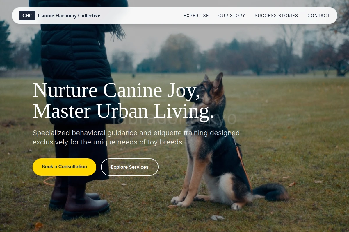 Toy Dog Training