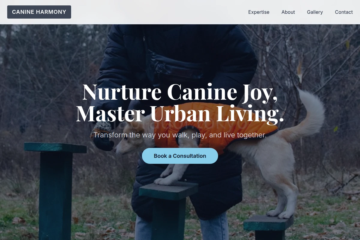 Buddy Dog Training