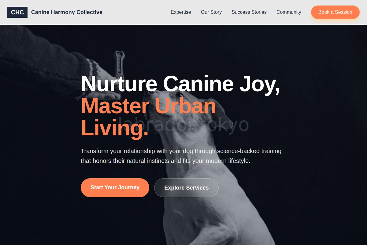 Chase Dog Training