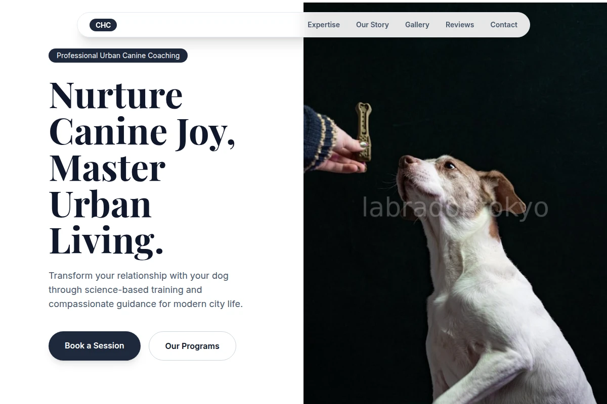 Paw Dog Training