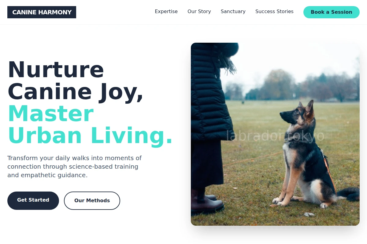 Fetch Dog Training