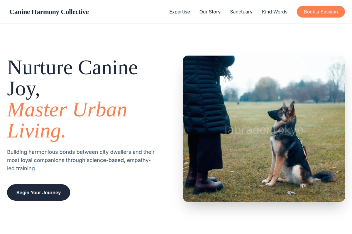 Play Dog Training
