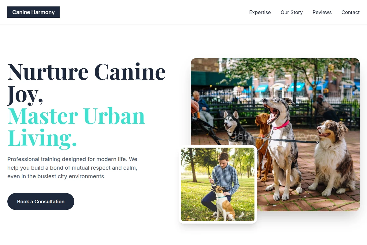 Canine Dog Training