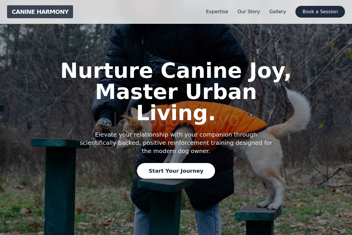 Chase Dog Training
