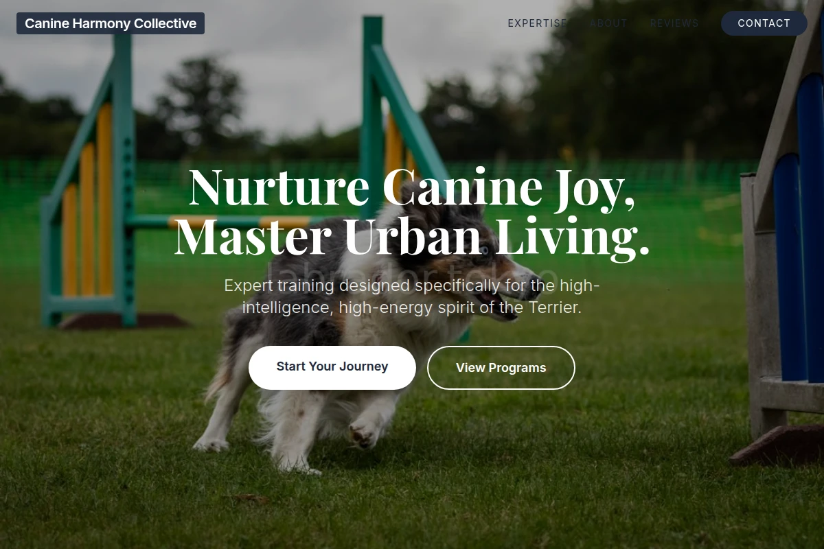 Terrier Dog Training