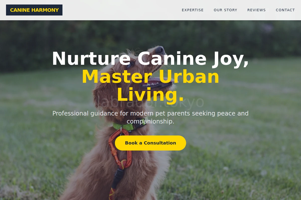 Kibble Dog Training