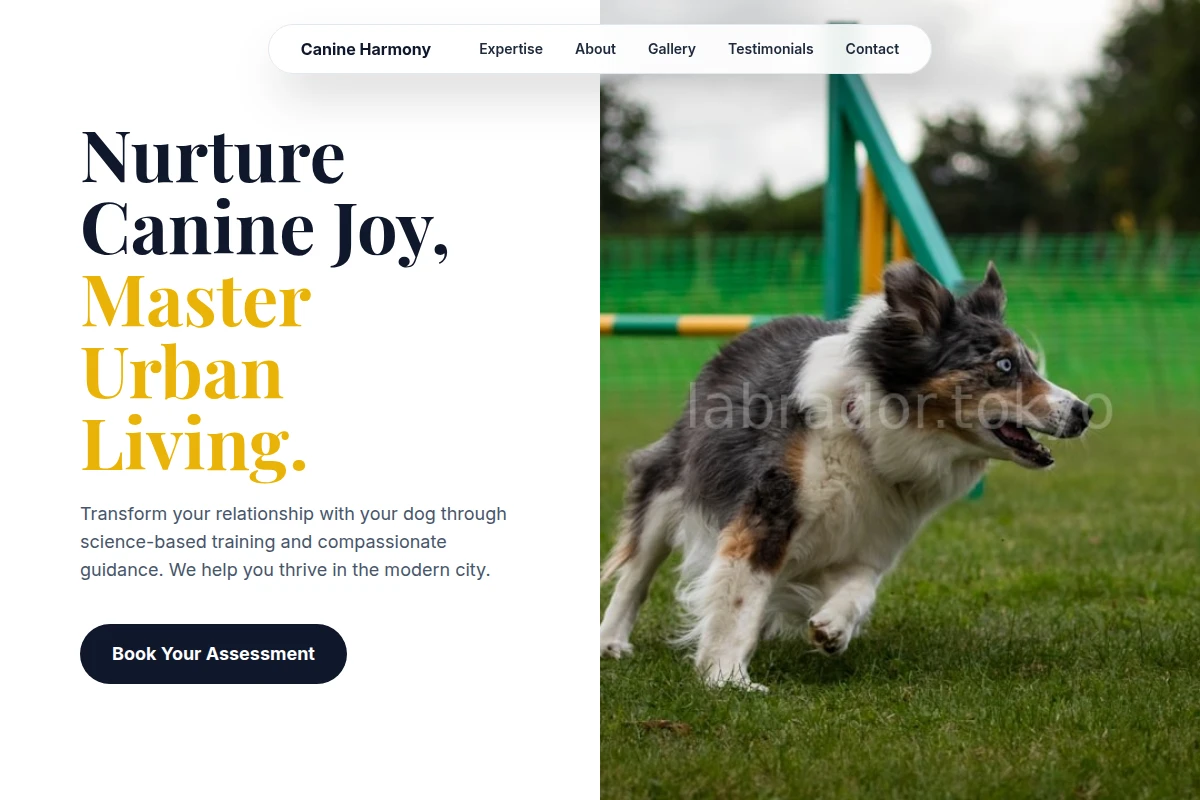 Alpha Dog Training