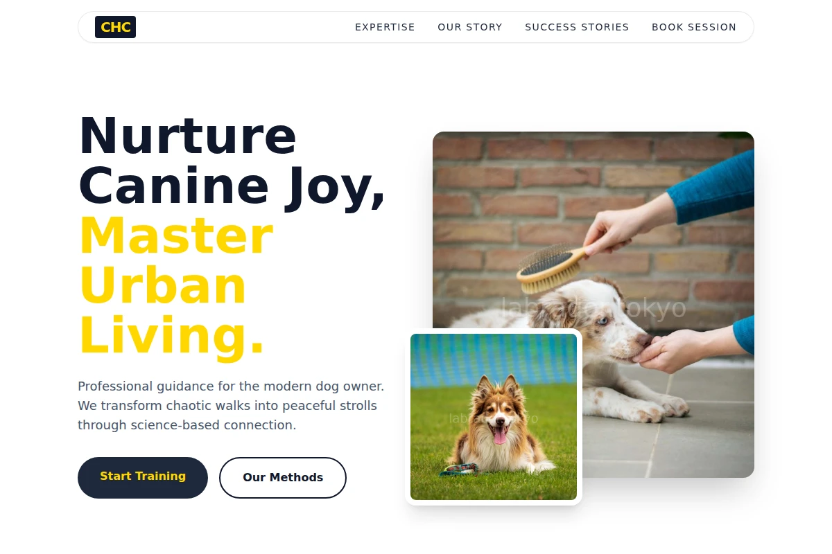 Mane Dog Training