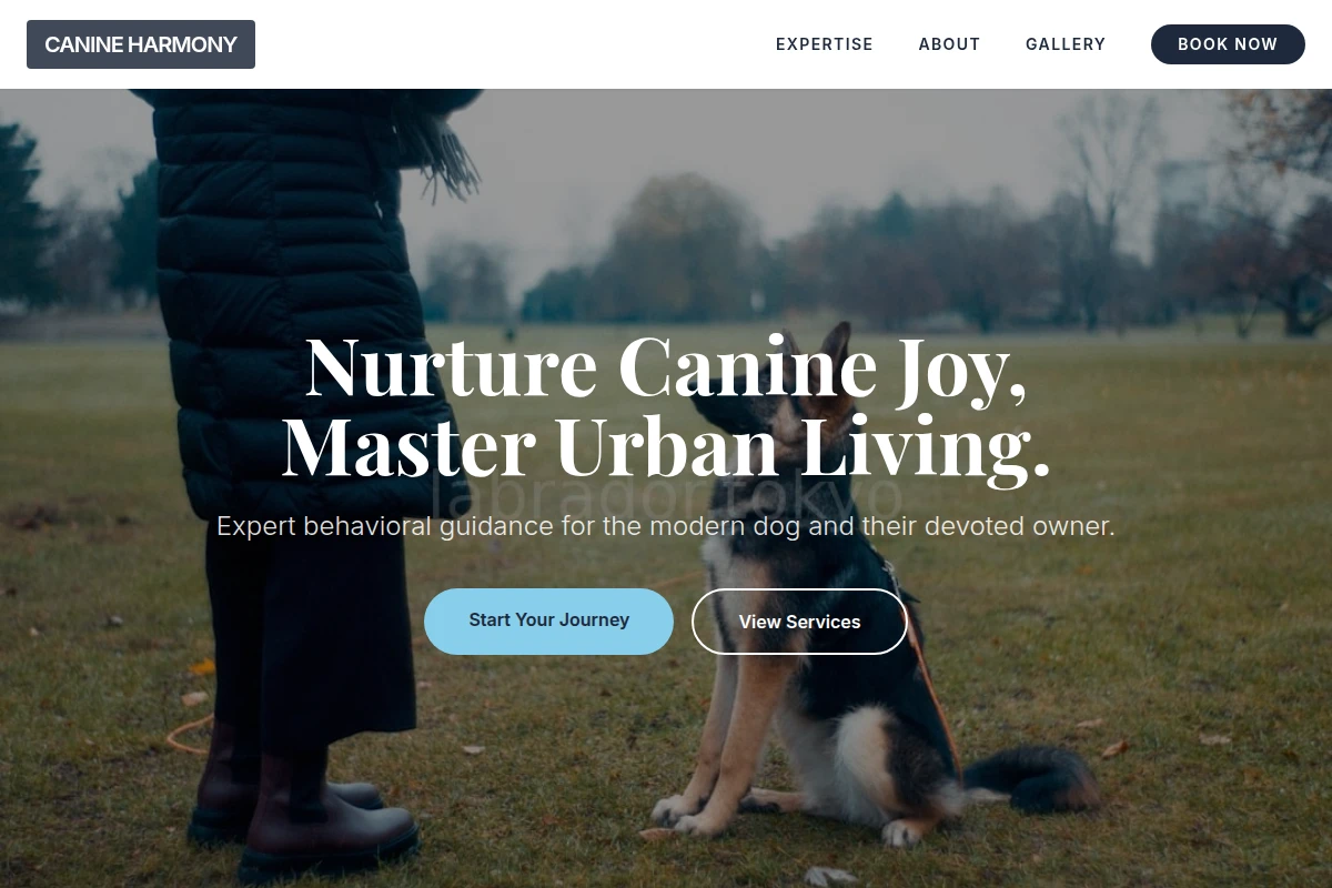 Play Dog Training