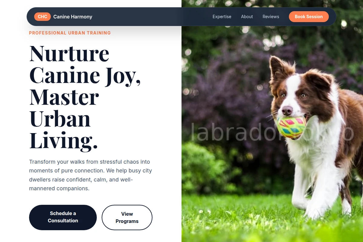 Treat Dog Training