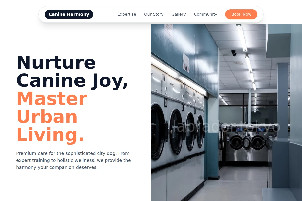 Kibble Dry Cleaner