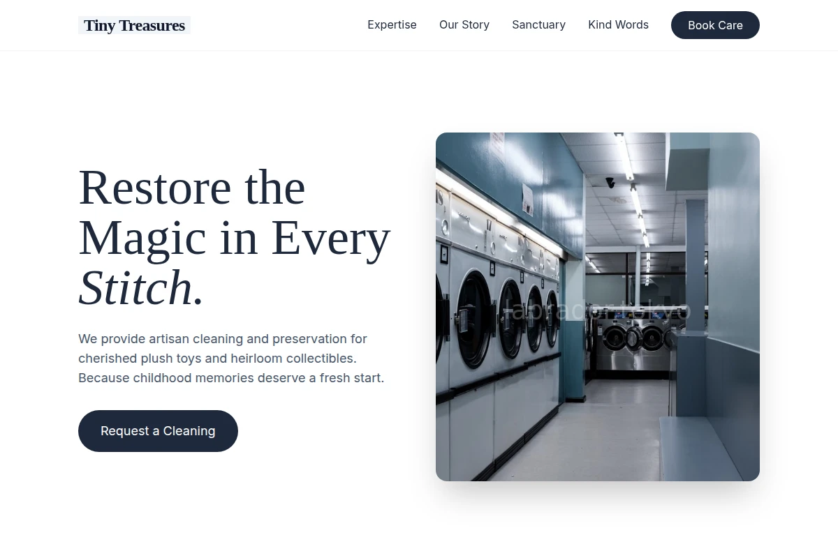 Toy Dry Cleaner