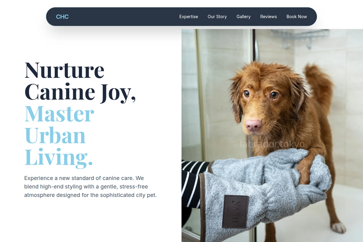 Collar Pet Grooming