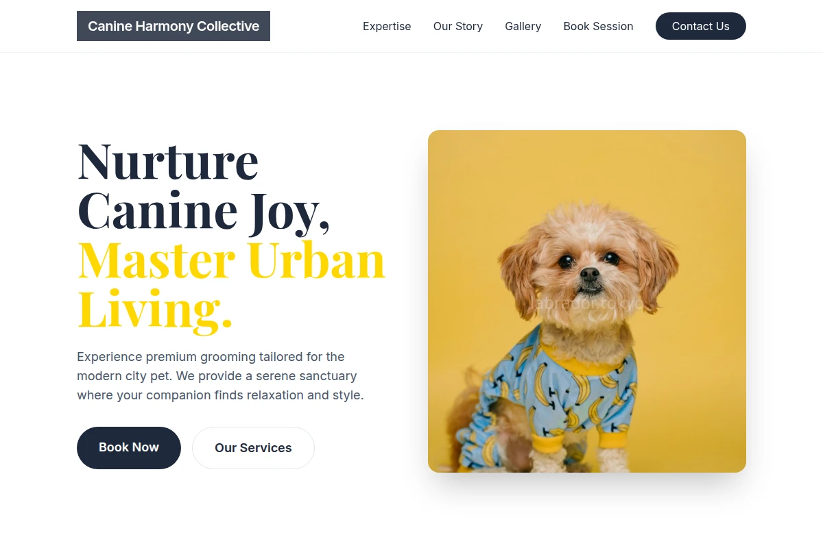 Leash Pet Grooming