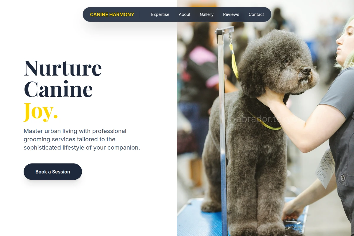 Walk Pet Grooming
