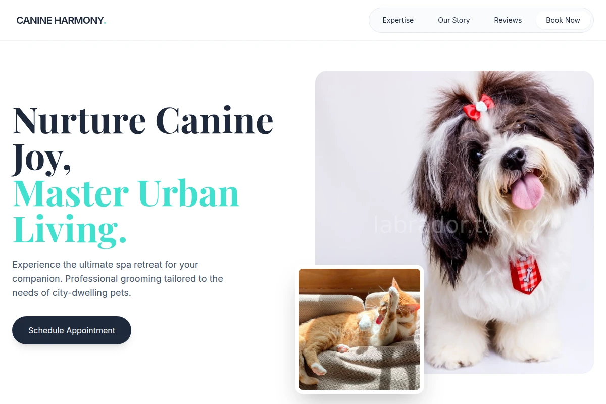 Treat Pet Grooming