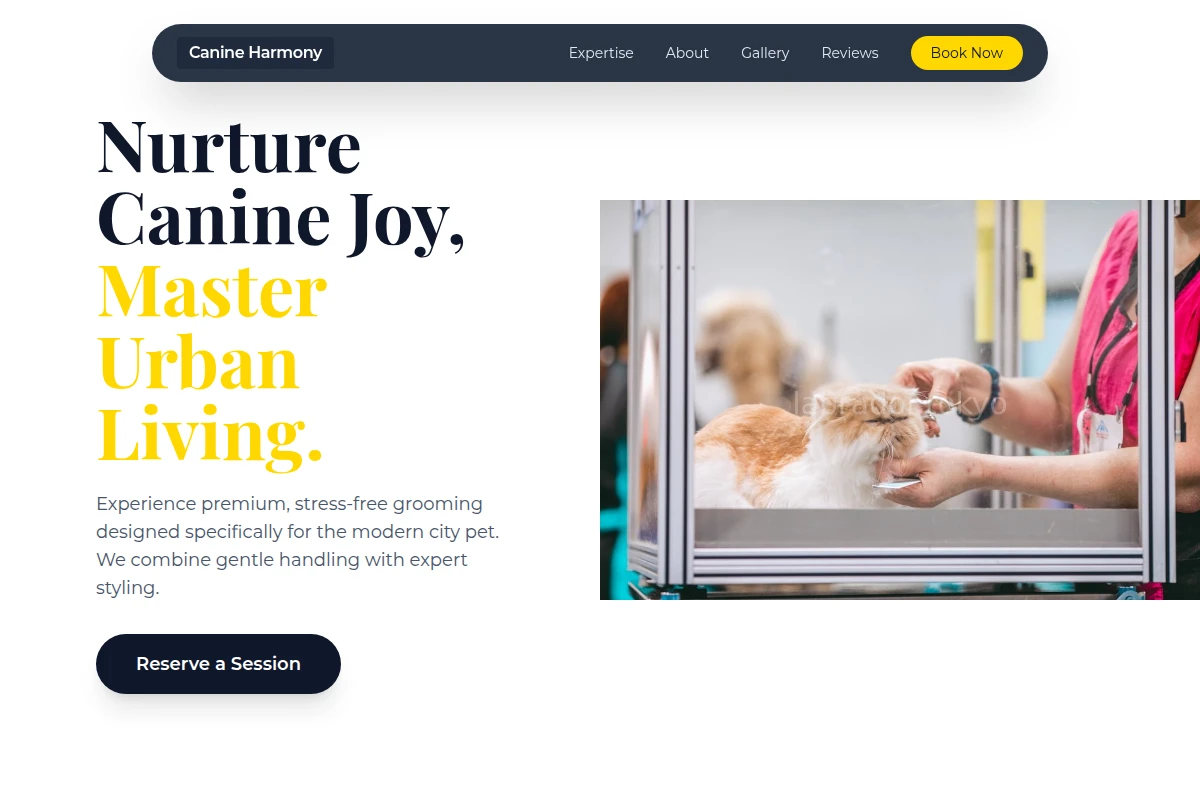 Play Pet Grooming