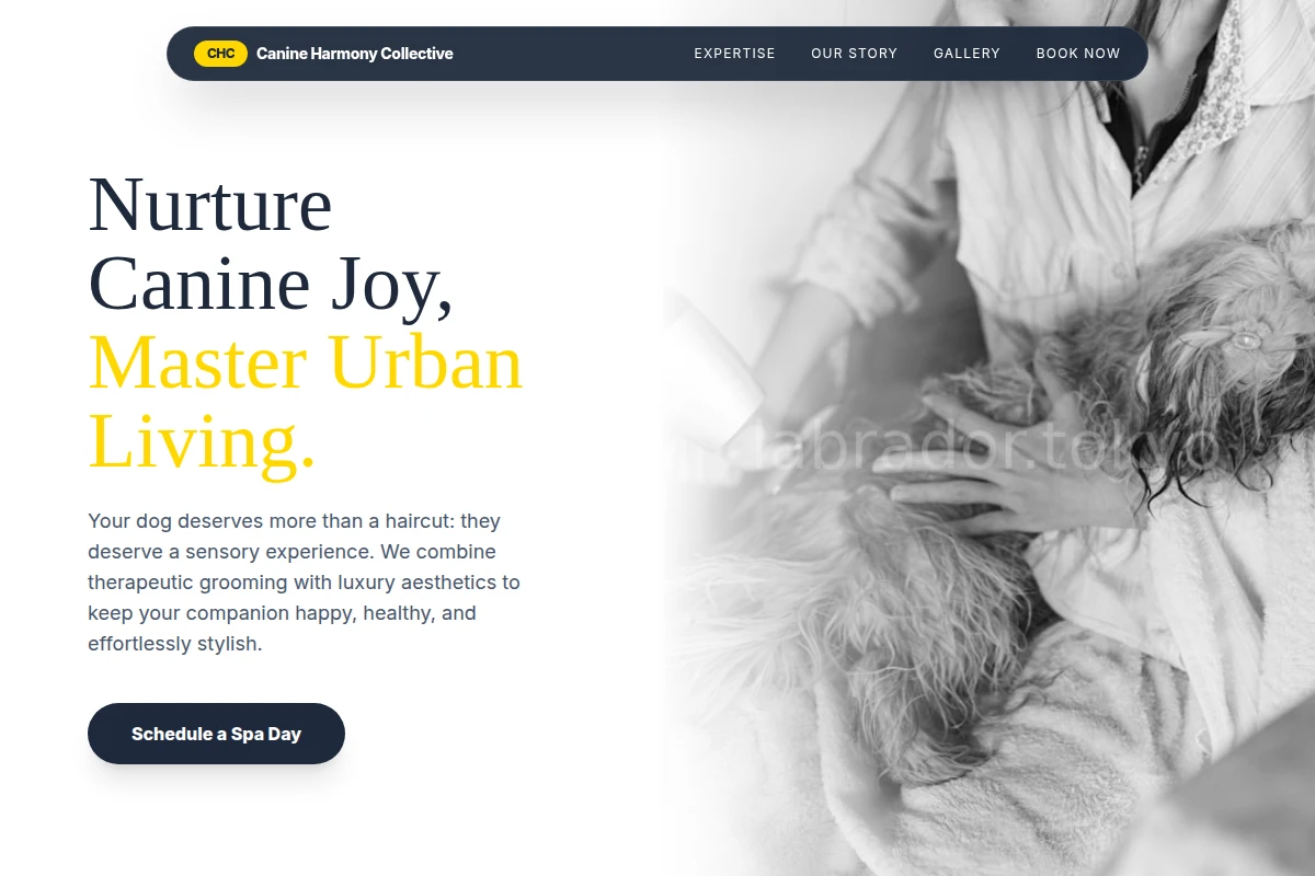 Bone Pet Grooming