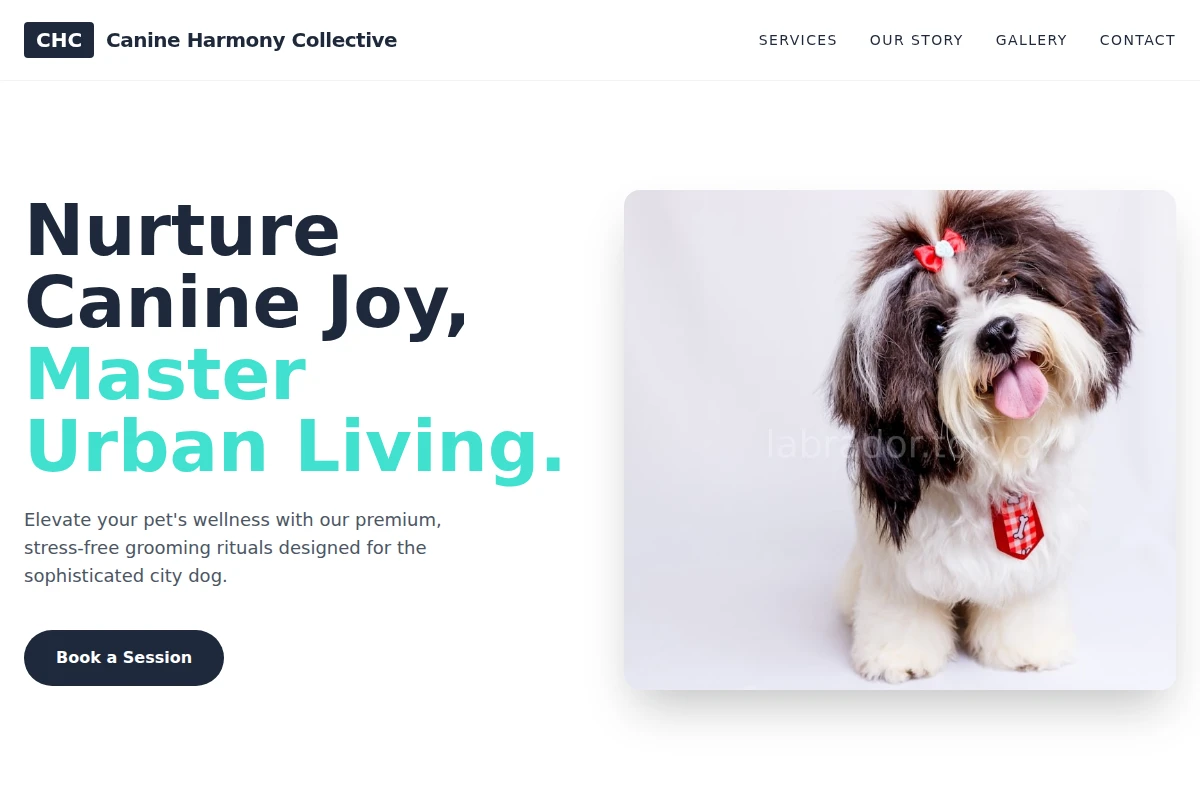 Walk Pet Grooming