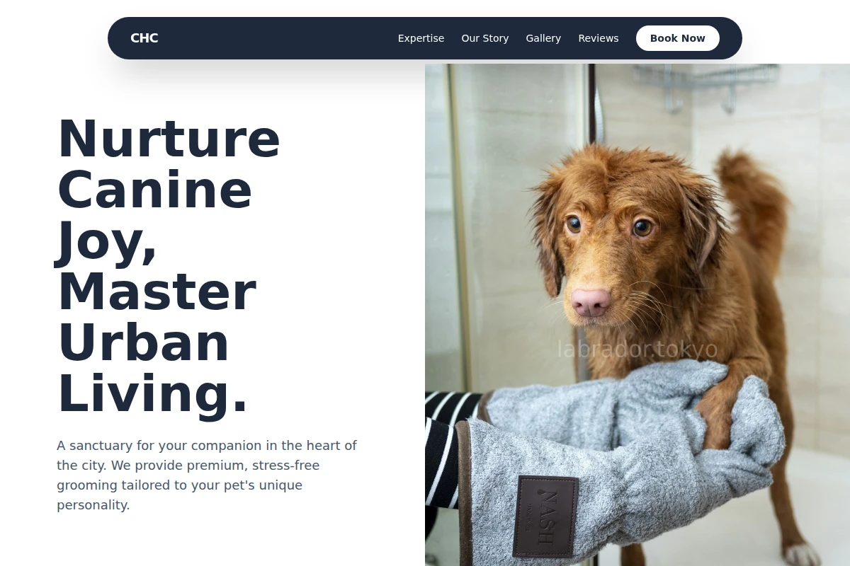 Play Pet Grooming