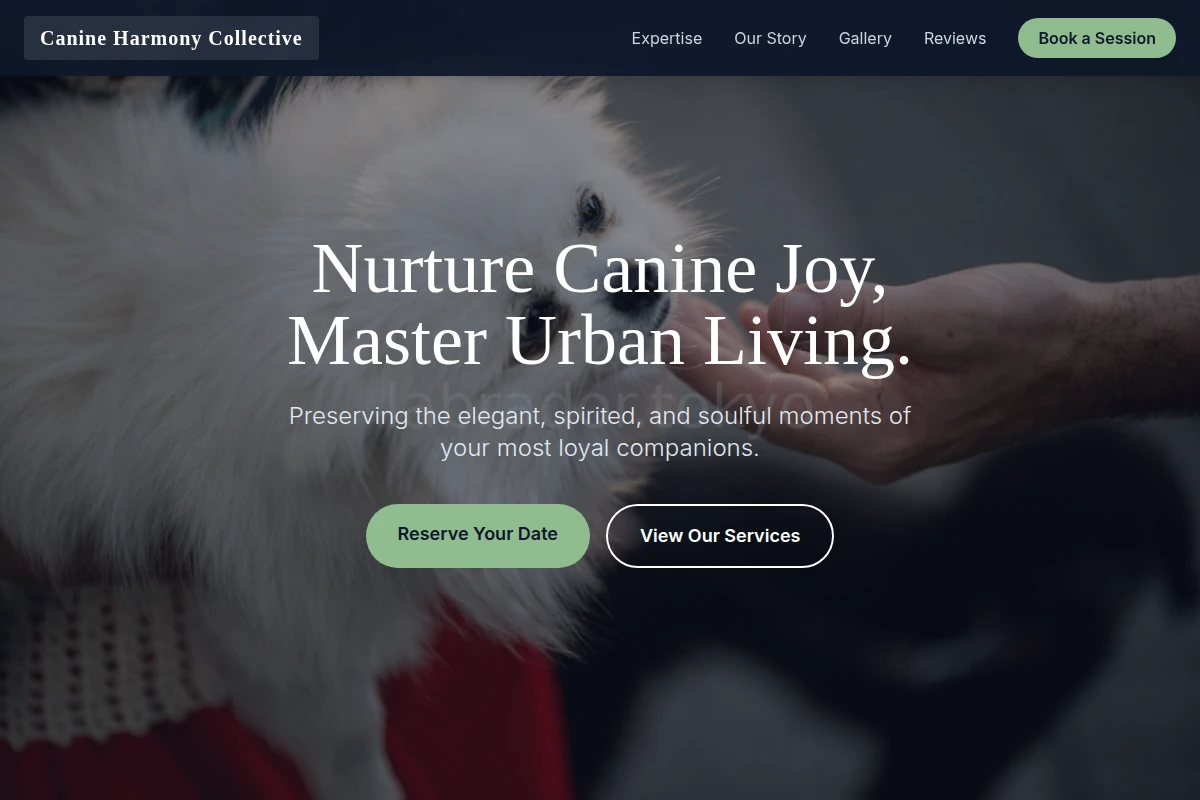 Play Pet Photography